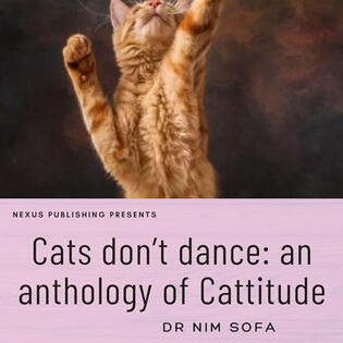 Cat's Don't Dance
